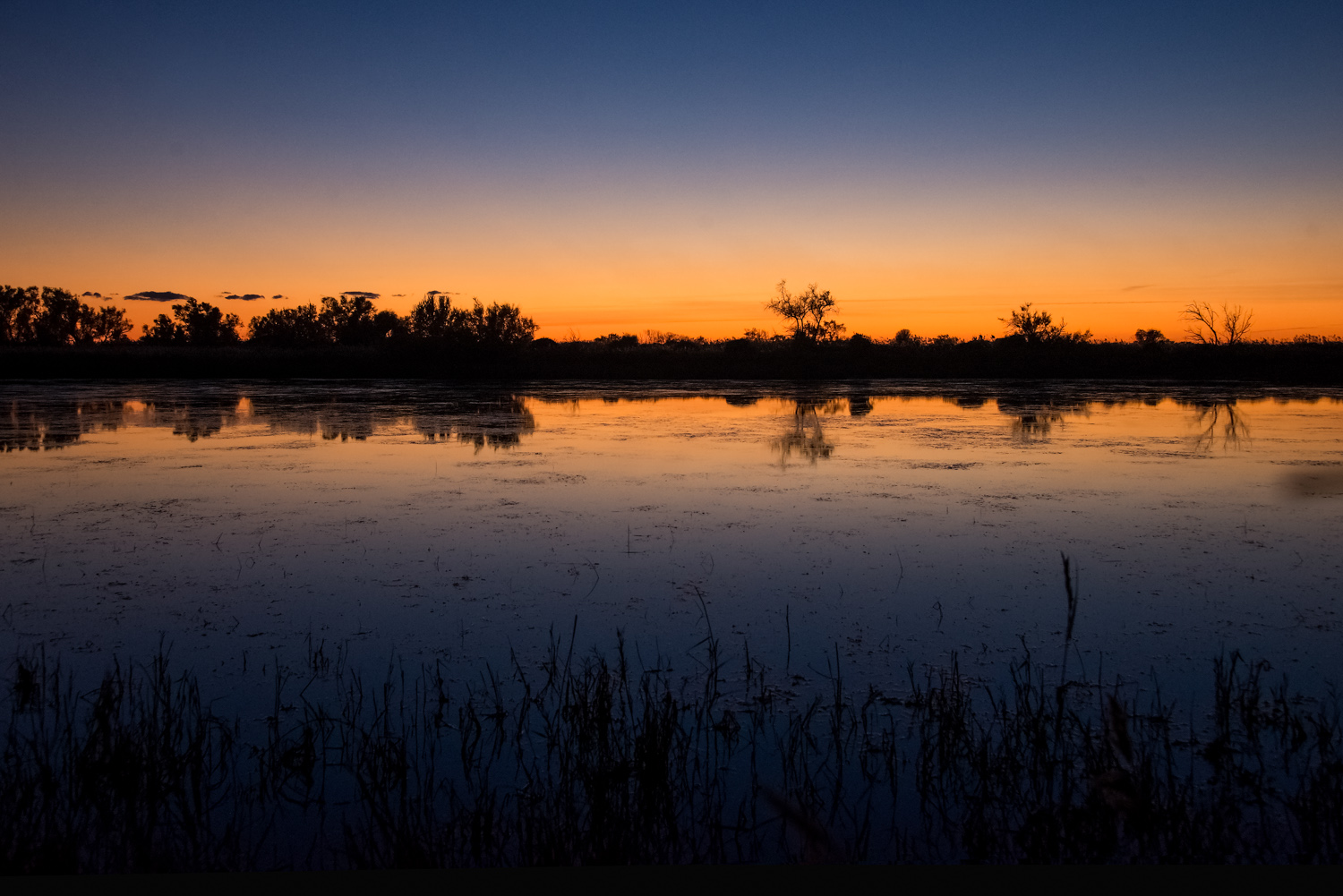 camargue-2