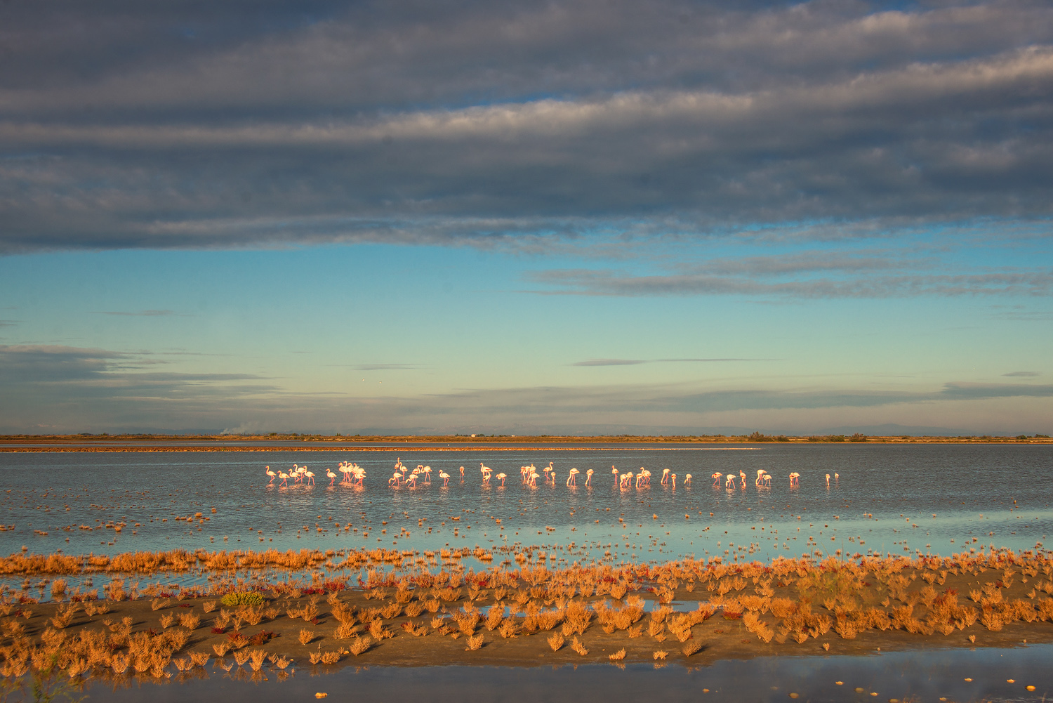 camargue-20