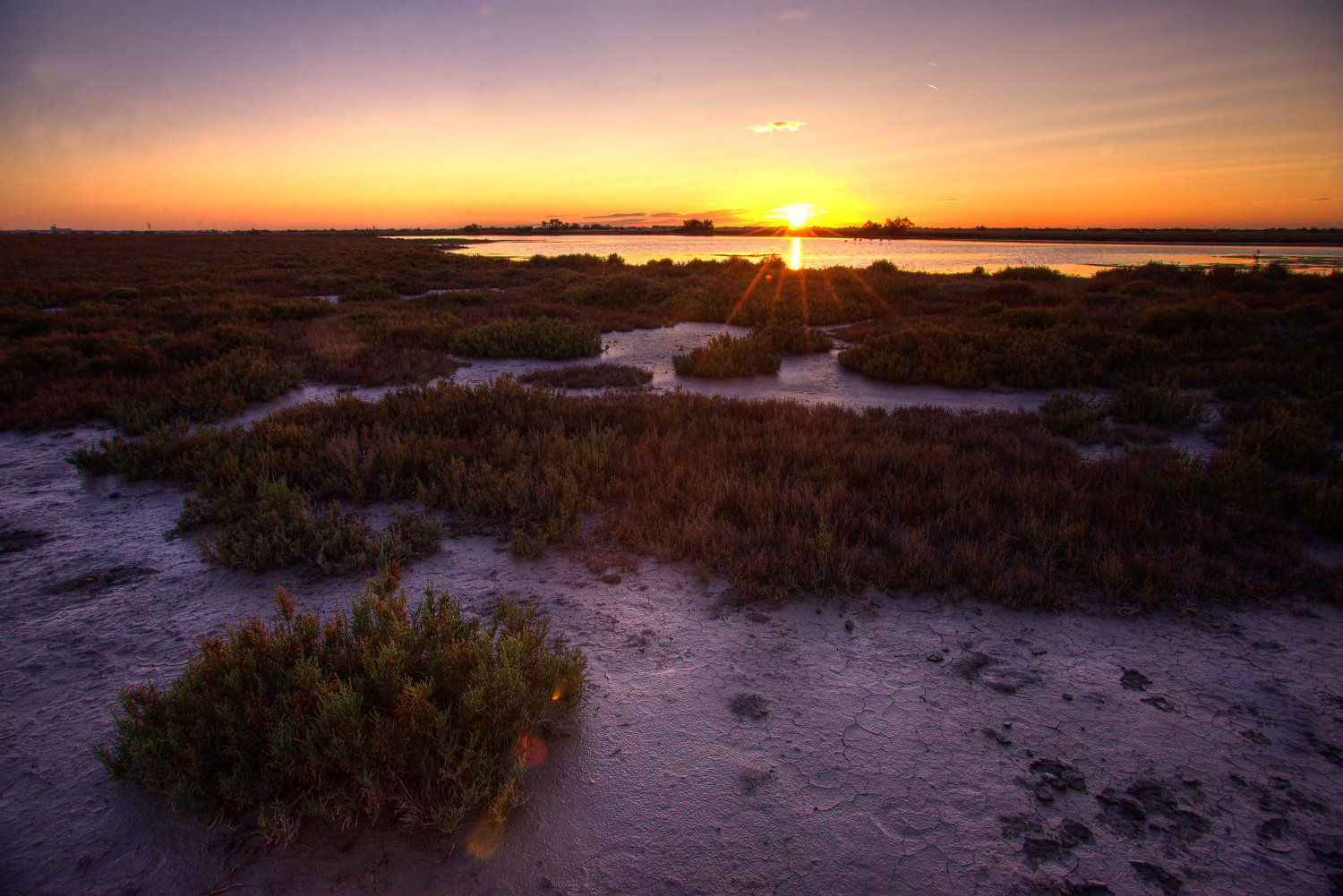 camargue-21